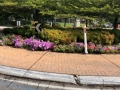 Pretty roundabout