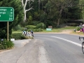 Great undulating and curving roads