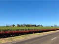 McLaren Vale
