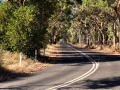 Quiet roads