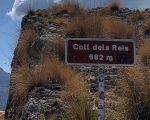 CollDelsReis_Sign_IMG_E7316-0001