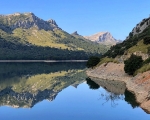 Gorg-Mirror-IMG_E8978-0001