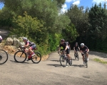 Group_Hairpins_IMG_0791-0001