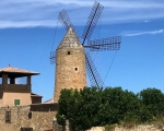 Maria_Windmill_IMG_E7927-0001
