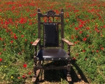 Poppies_Chair_IMG_7921-0001