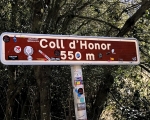 Sign_CollDHonor_IMG_9844-0001