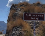 CollDelsReis_Sign_IMG_E7316-0001