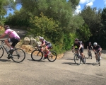 Group_Hairpins_IMG_0791-0001