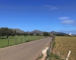 LlenaireLane_IMG_6339-0001