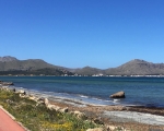 PP_Bay_IMG_4731-0001