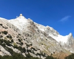 PuigTop_IMG_6419-0001