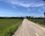 QuietLanes_IMG_6390-0001