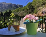 SaCalobraCafe_Flower_IMG_7931-0001