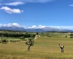 ViewOfMountains_IMG_E7928-0001