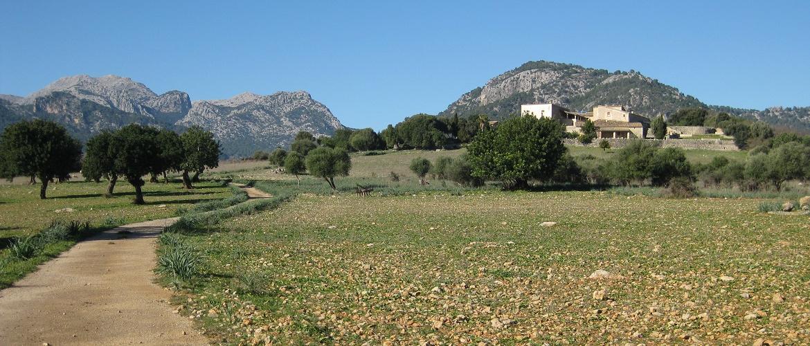 Quiet roads and beautiful scenery for cycling near Campanet, Mallorca. A favourite cycling route for cycling in Mallorca with Mallorca Cycling Holidays, Mallorca Cycling Tours, Cycling in Mallorca, Mallorca Training camps, based in Puerto Pollensa, Mallorca
